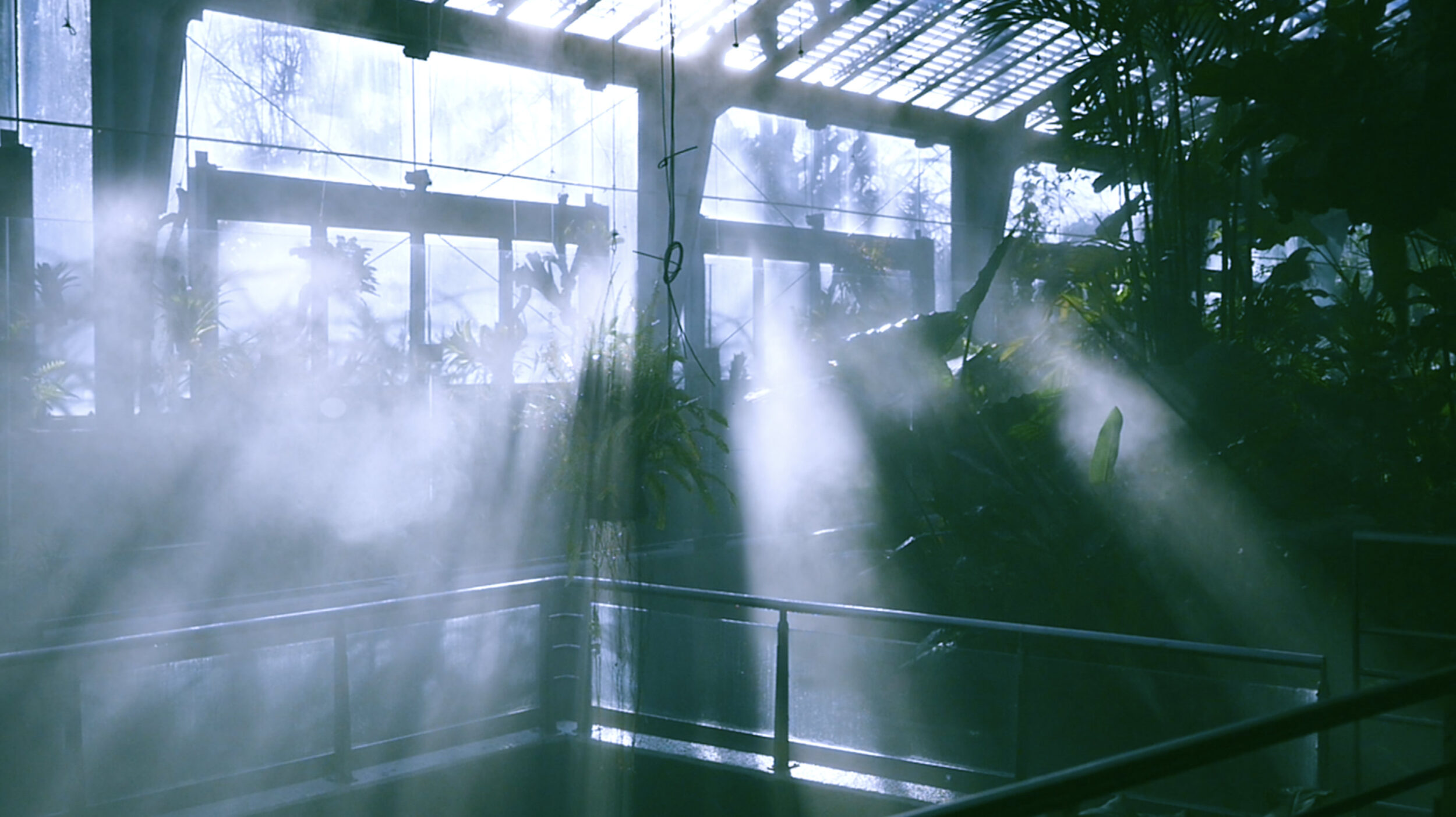 Souvenirs d’Occident - Vir Andres Hera